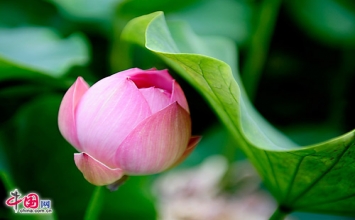 Những đồng tiền bị mất